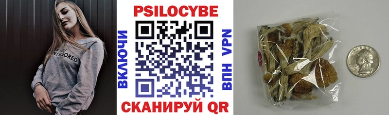 закладка  Белая Холуница  Псилоцибиновые грибы Psilocybine cubensis 